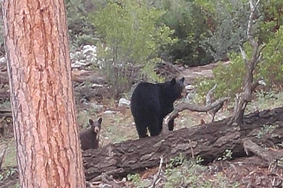 Cabin Image 27