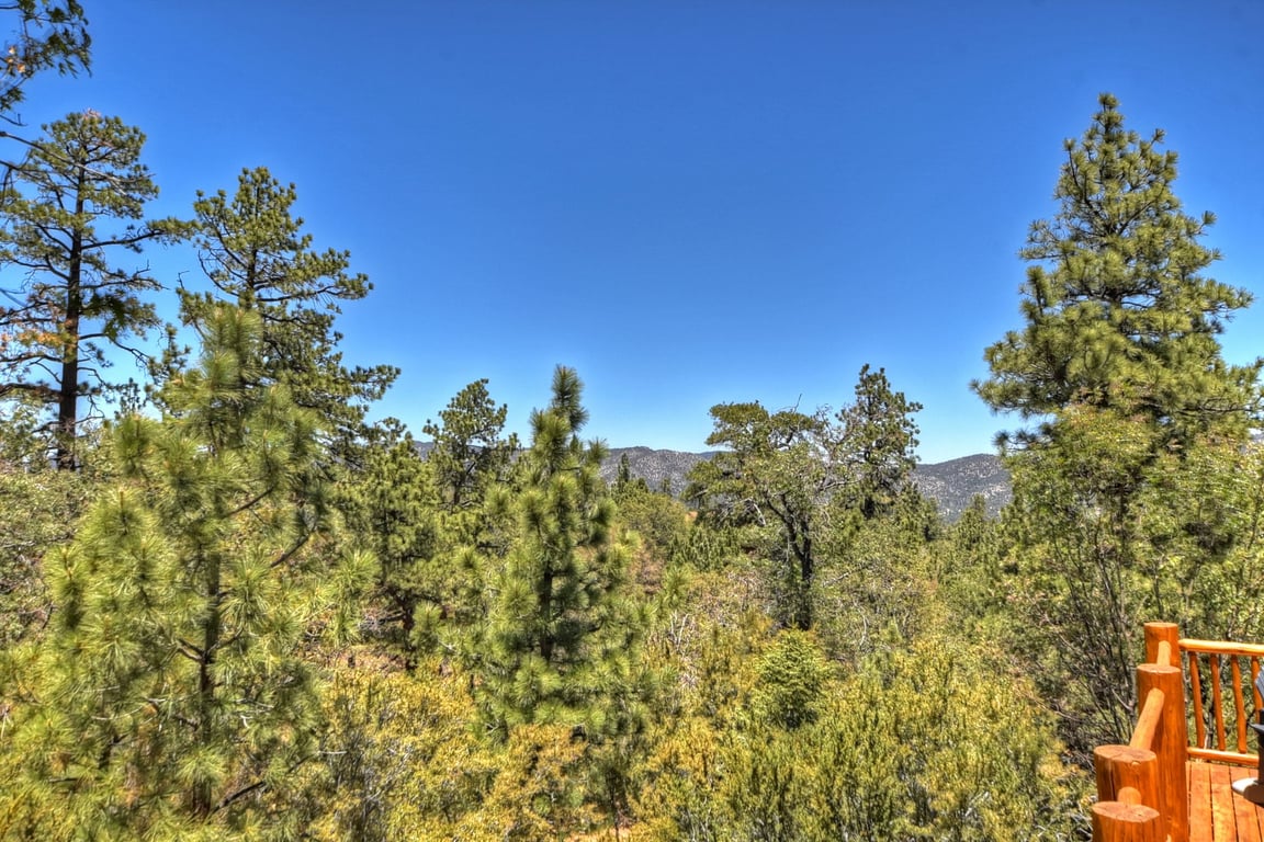 Cabin Image 42