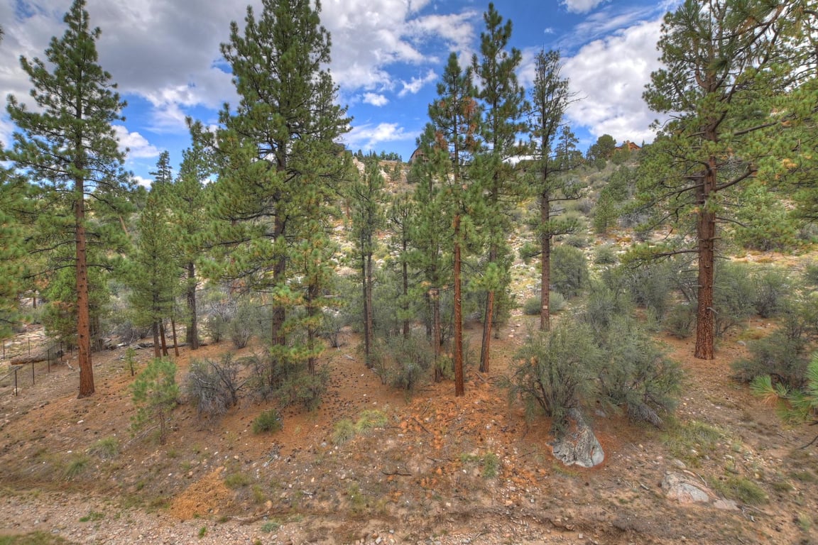 Cabin Image 44