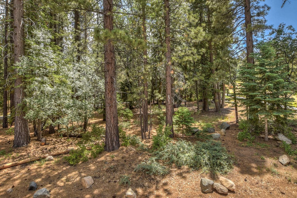 Cabin Image 7