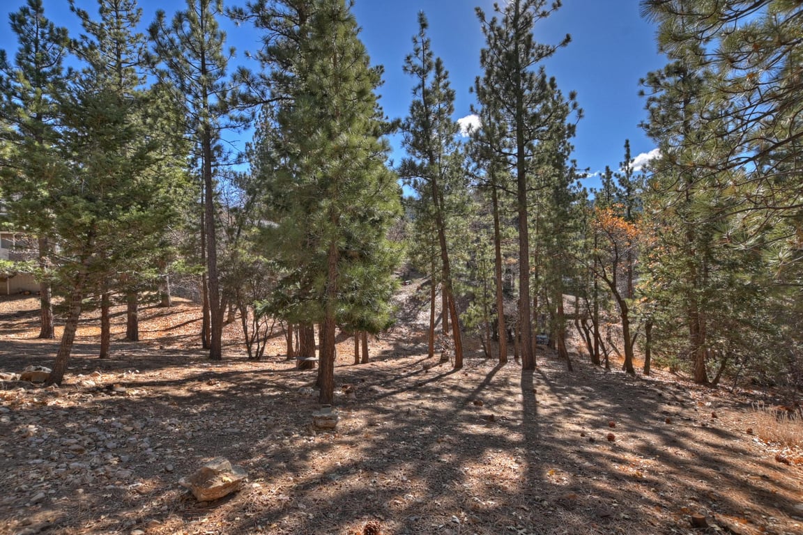 Cabin Image 30