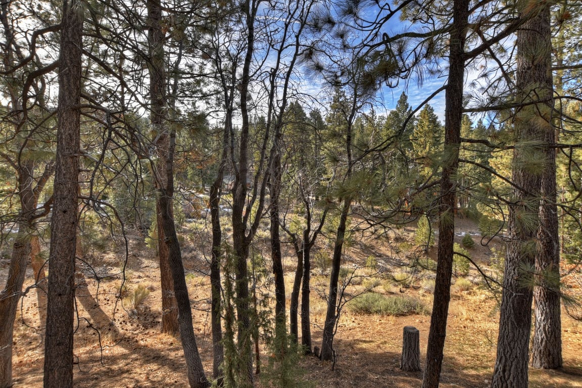 Cabin Image 30