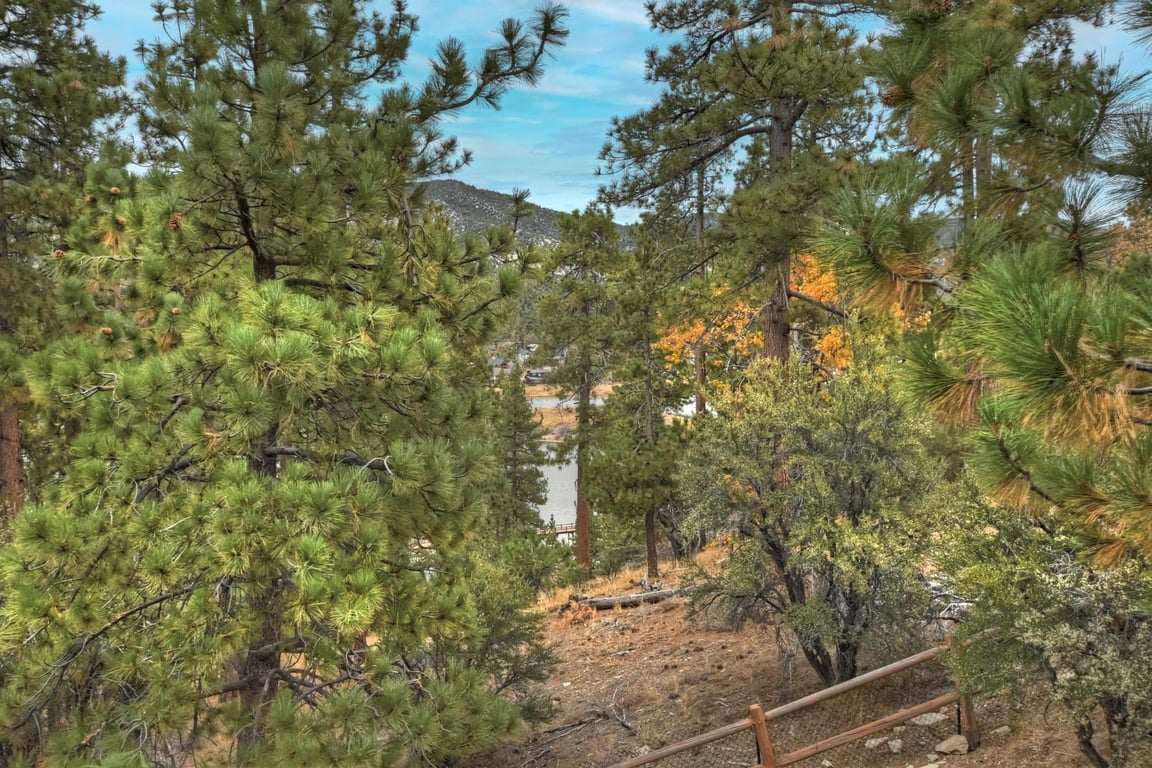 Cabin Image 42