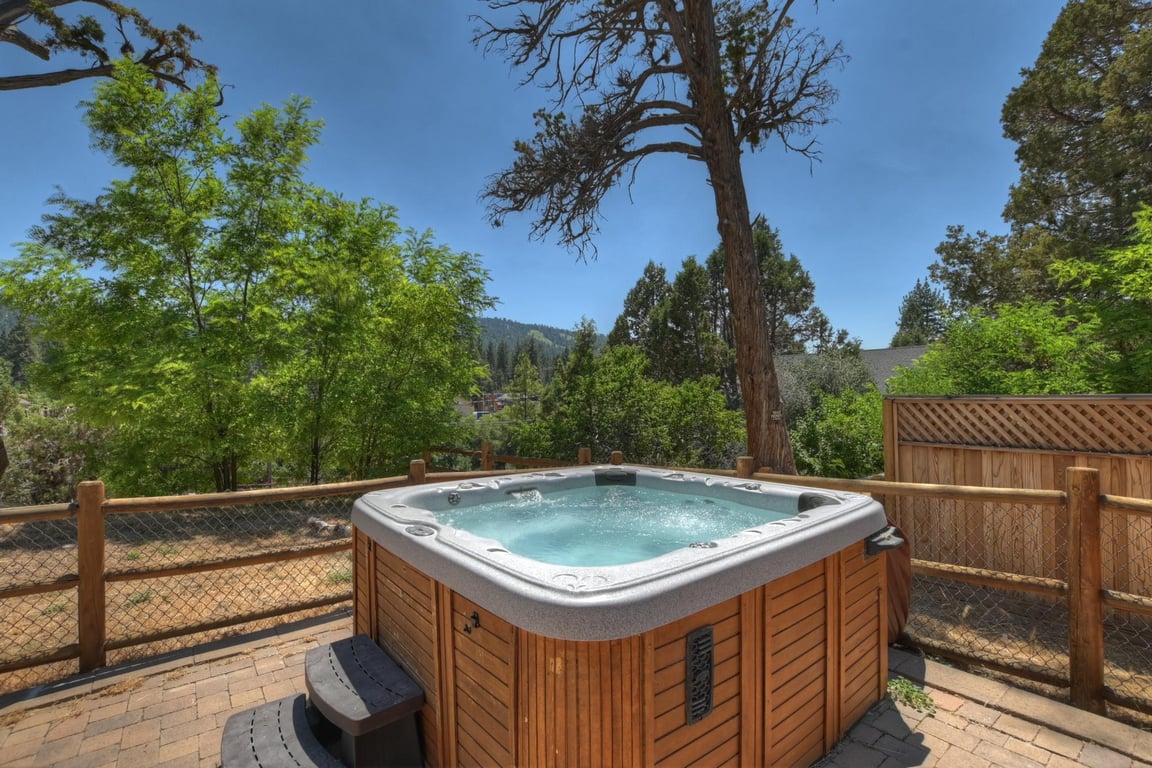 Big Bear Cabin - BlueMoon - 0004