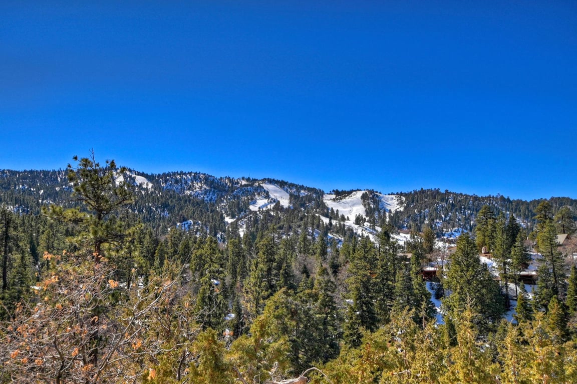 Cabin Image 10