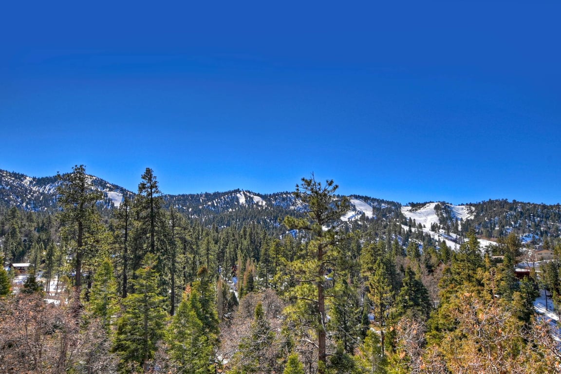 Cabin Image 14