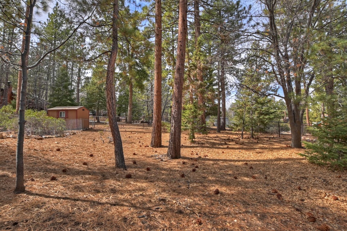 Cabin Image 33
