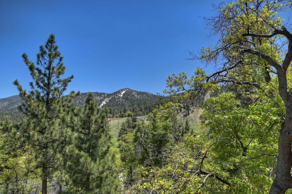 Cabin Image 29
