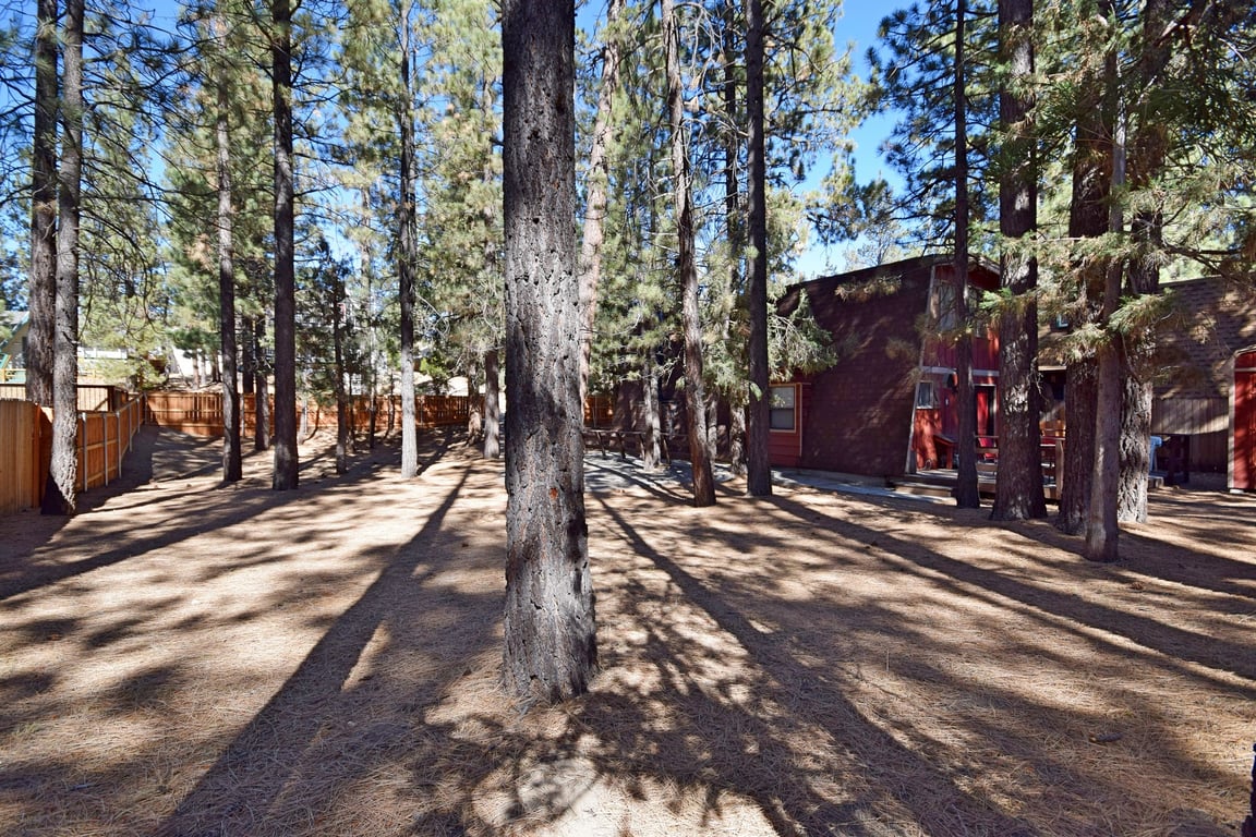 Cabin Image 19