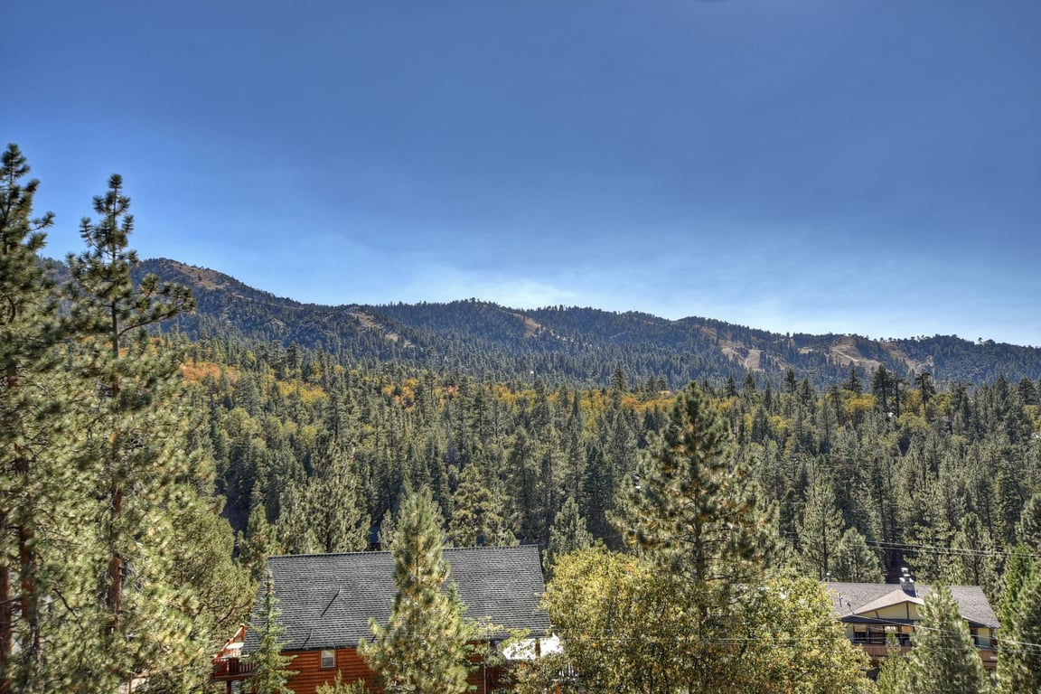 Cabin Image 23