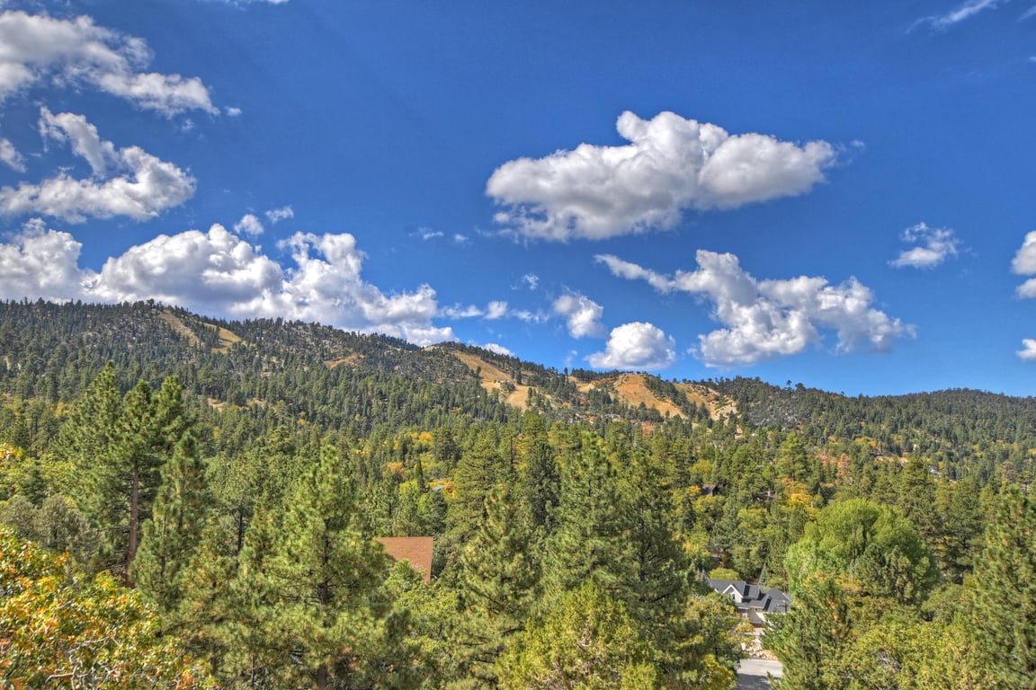 Cabin Image 32