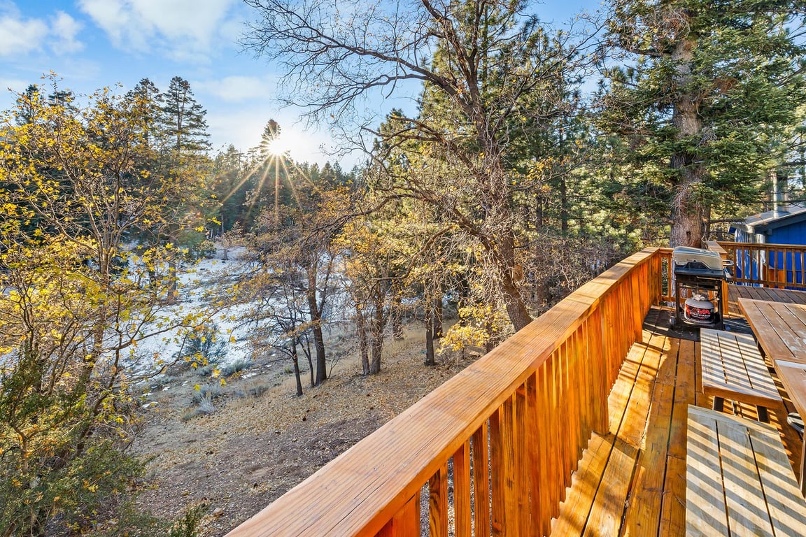 Cabin Image 43
