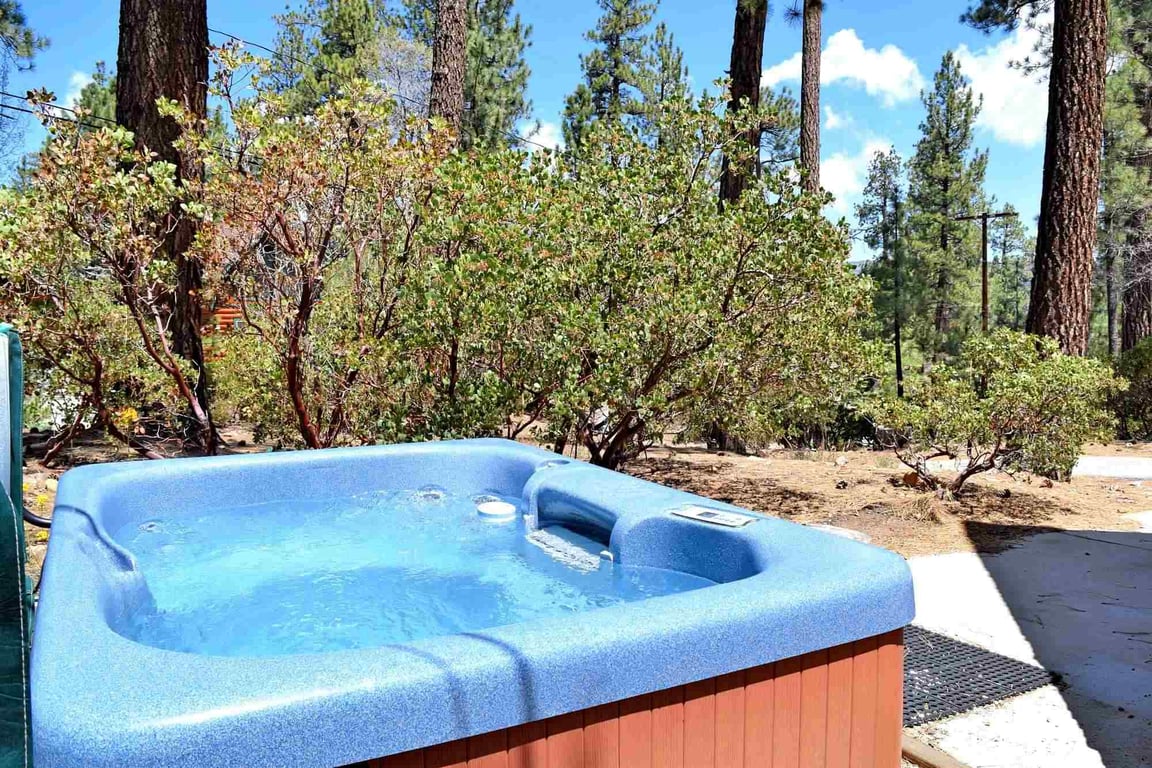 Big Bear Cabin - AlmostSummit - 0003