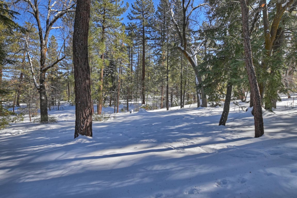 Cabin Image 61