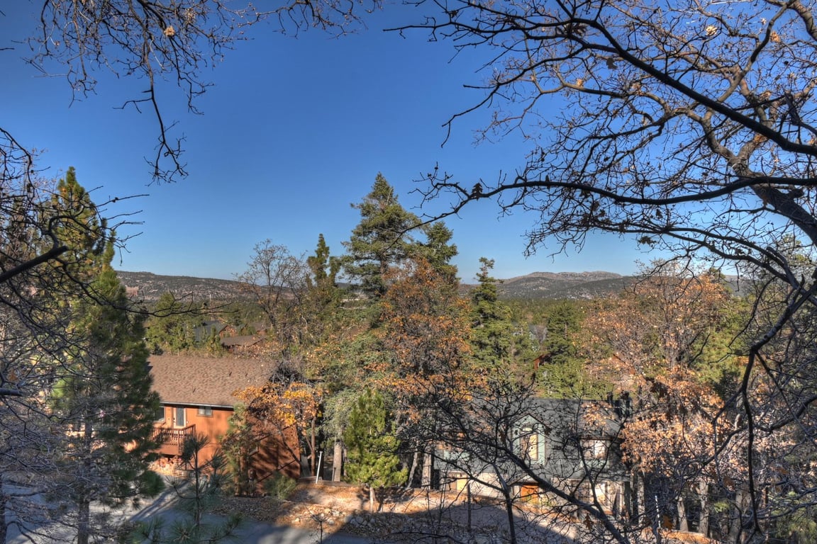 Big Bear Cabin - TuolumneTreehouse - 0005
