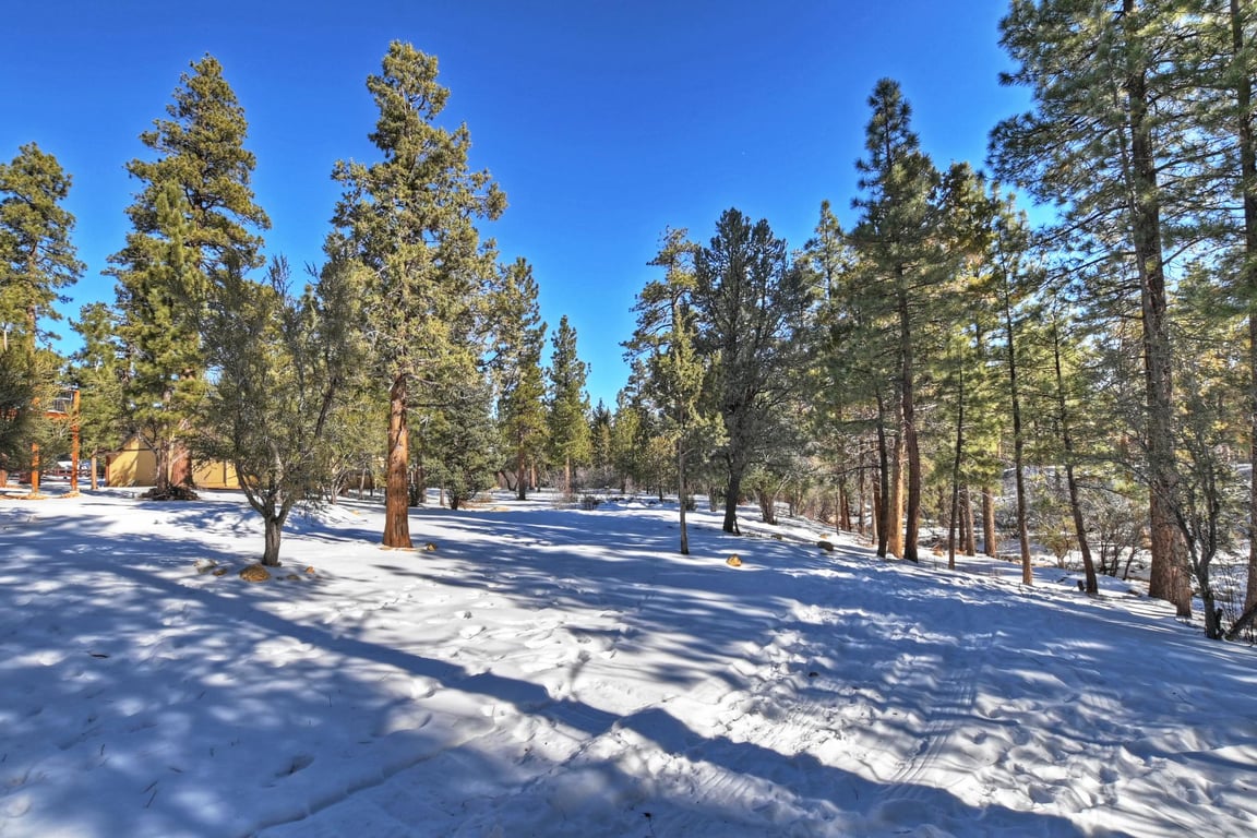 Cabin Image 50