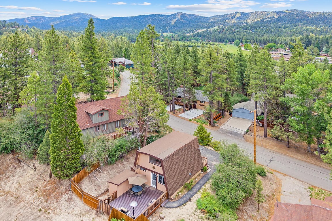 Big Bear Cabin - Owl'sPerch - 0001