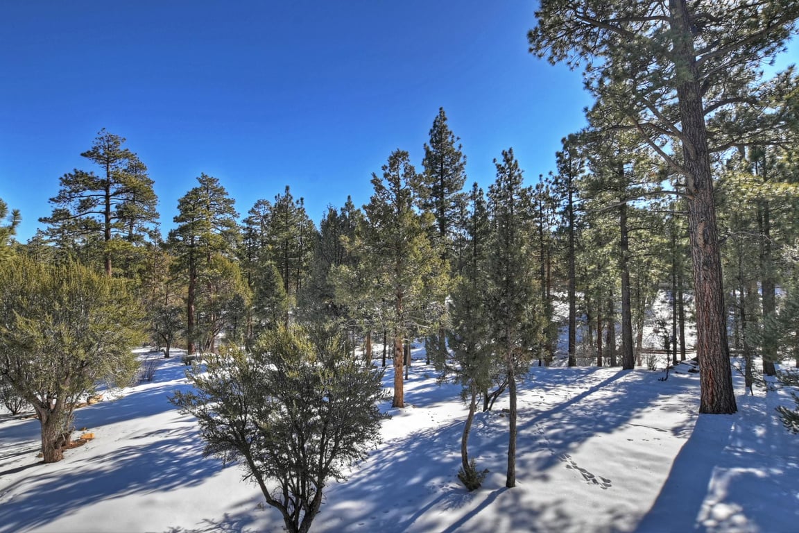 Cabin Image 48