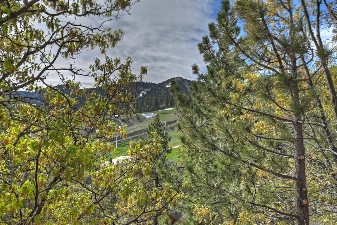 Cabin Image 25