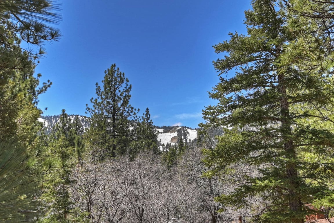 Big Bear Cabin - EvergreenEscape - 0005