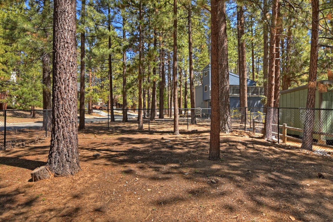 Big Bear Cabin - WhisperingCottage - 0004