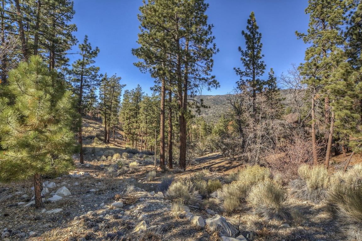 Cabin Image 33