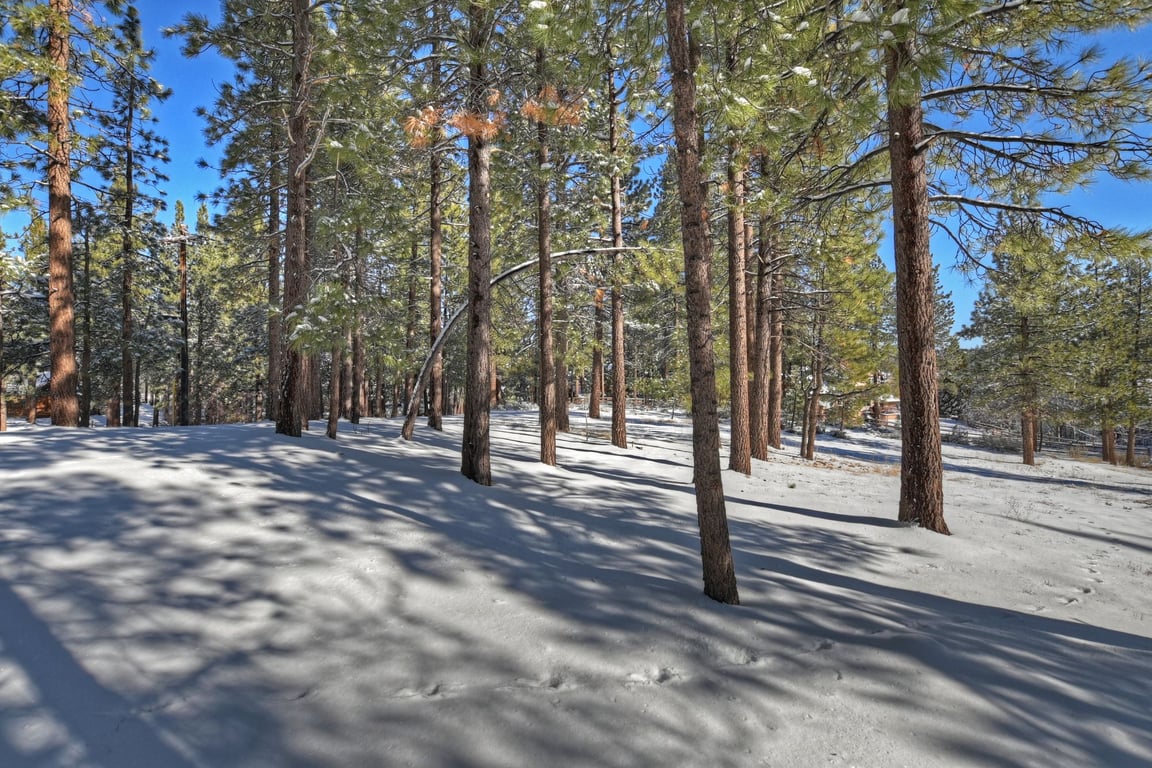 Cabin Image 33