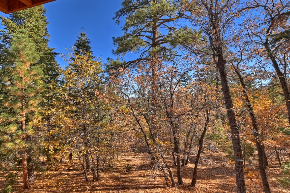 Cabin Image 42