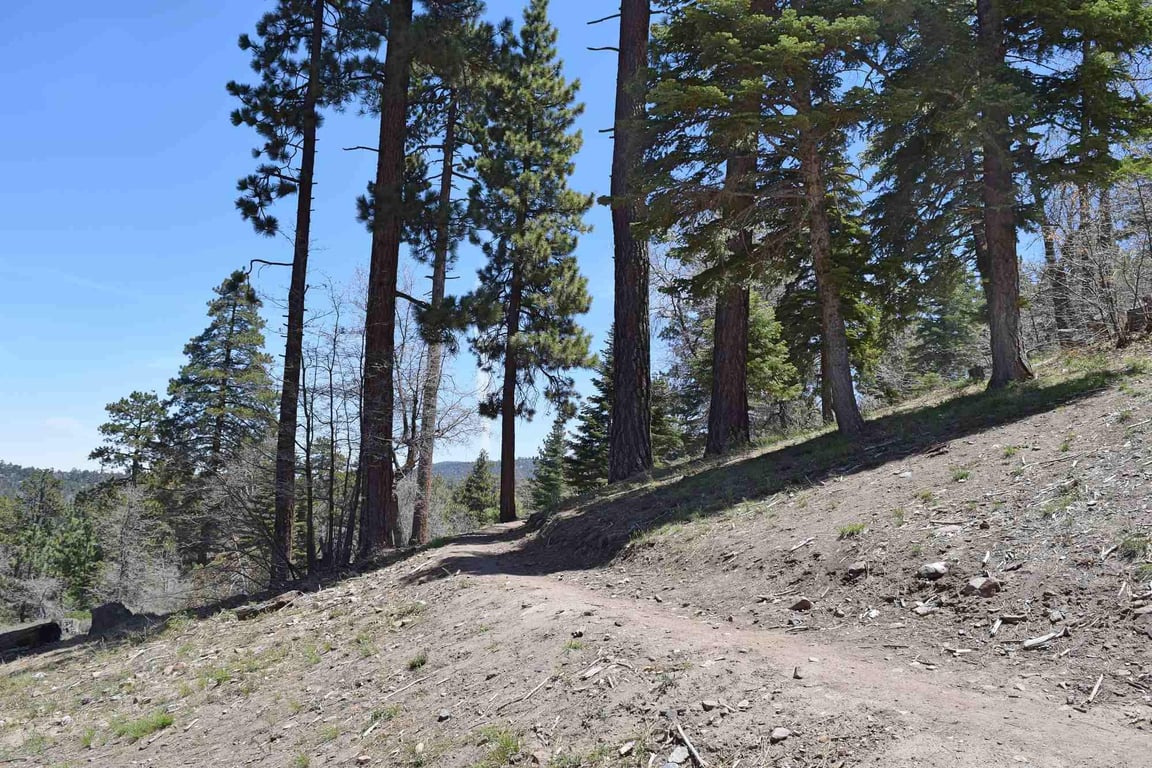 Cabin Image 41
