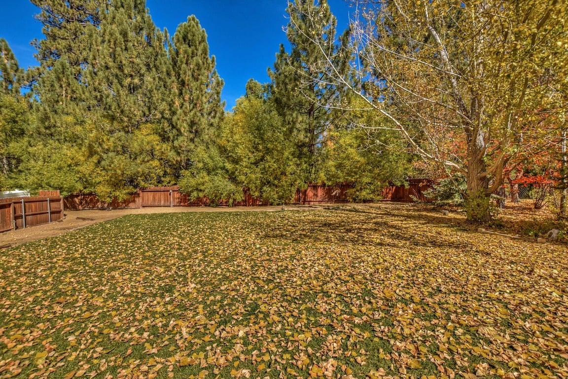 Cabin Image 30