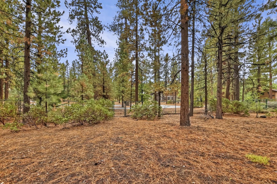 Cabin Image 4