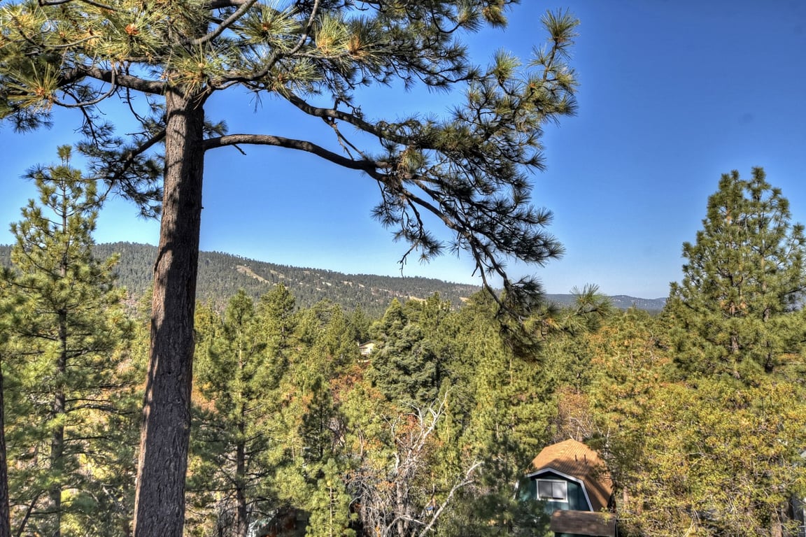 Cabin Image 29