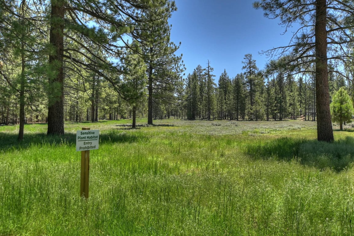 Cabin Image 29