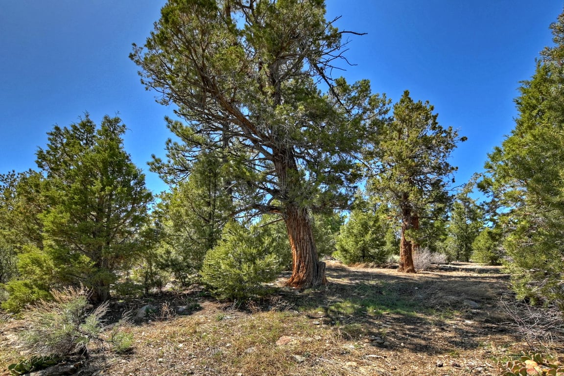 Cabin Image 48
