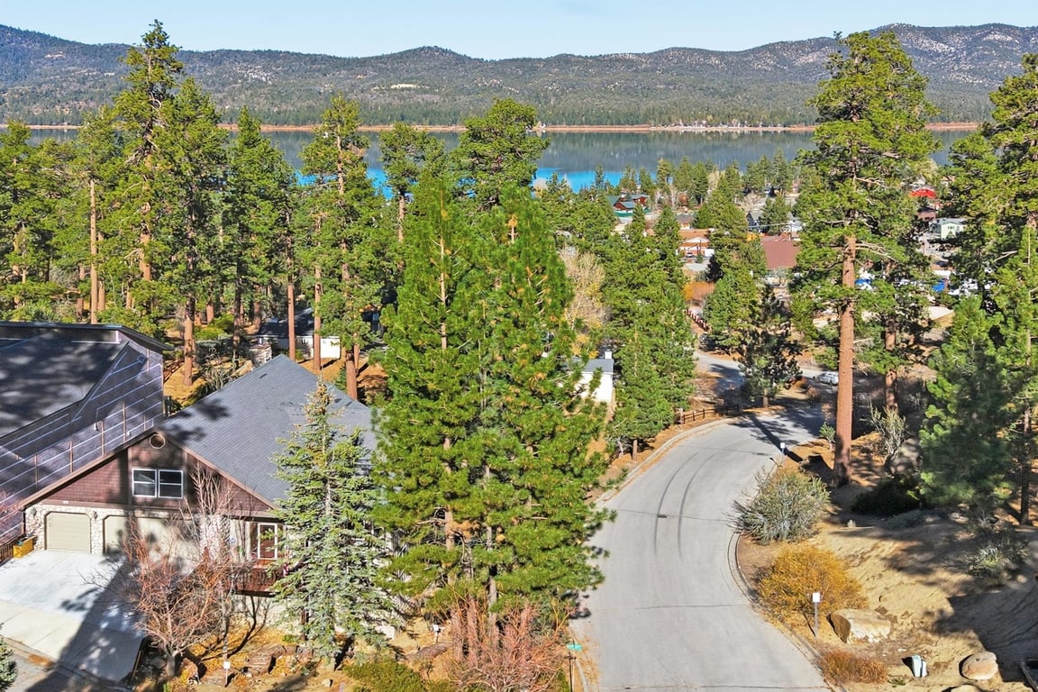 Big Bear Cabin - TreeTopHaven - 0005