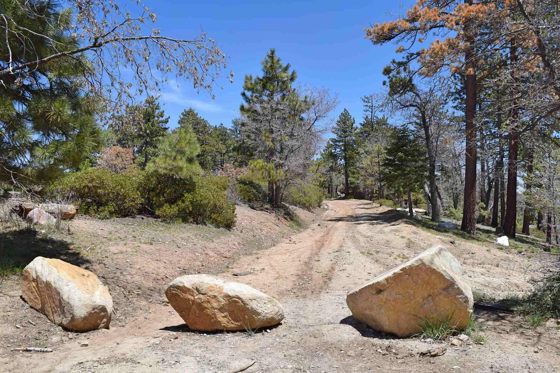 Cabin Image 43