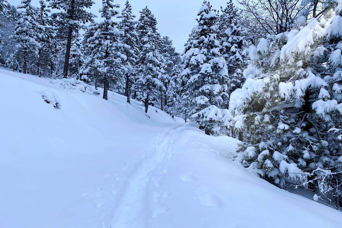 Cabin Image 41