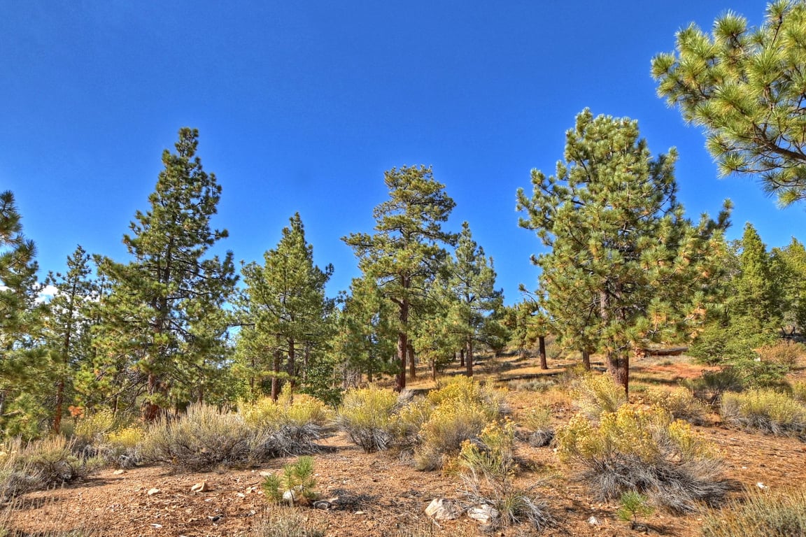 Cabin Image 38
