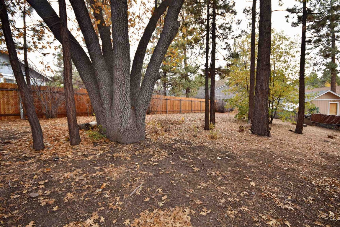 Cabin Image 34