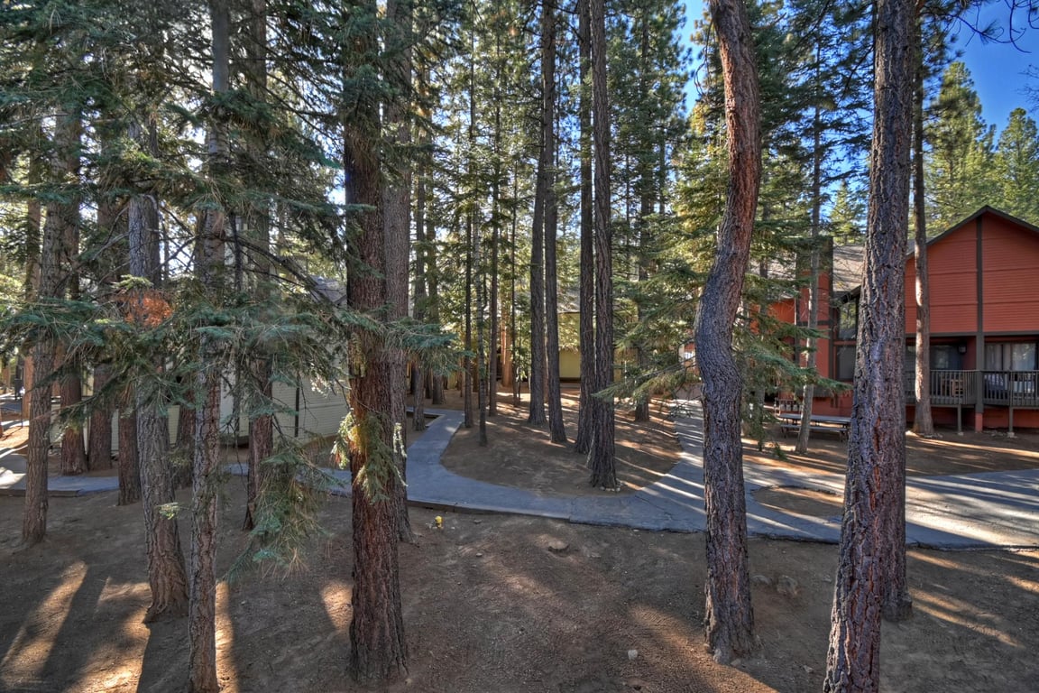 Cabin Image 13