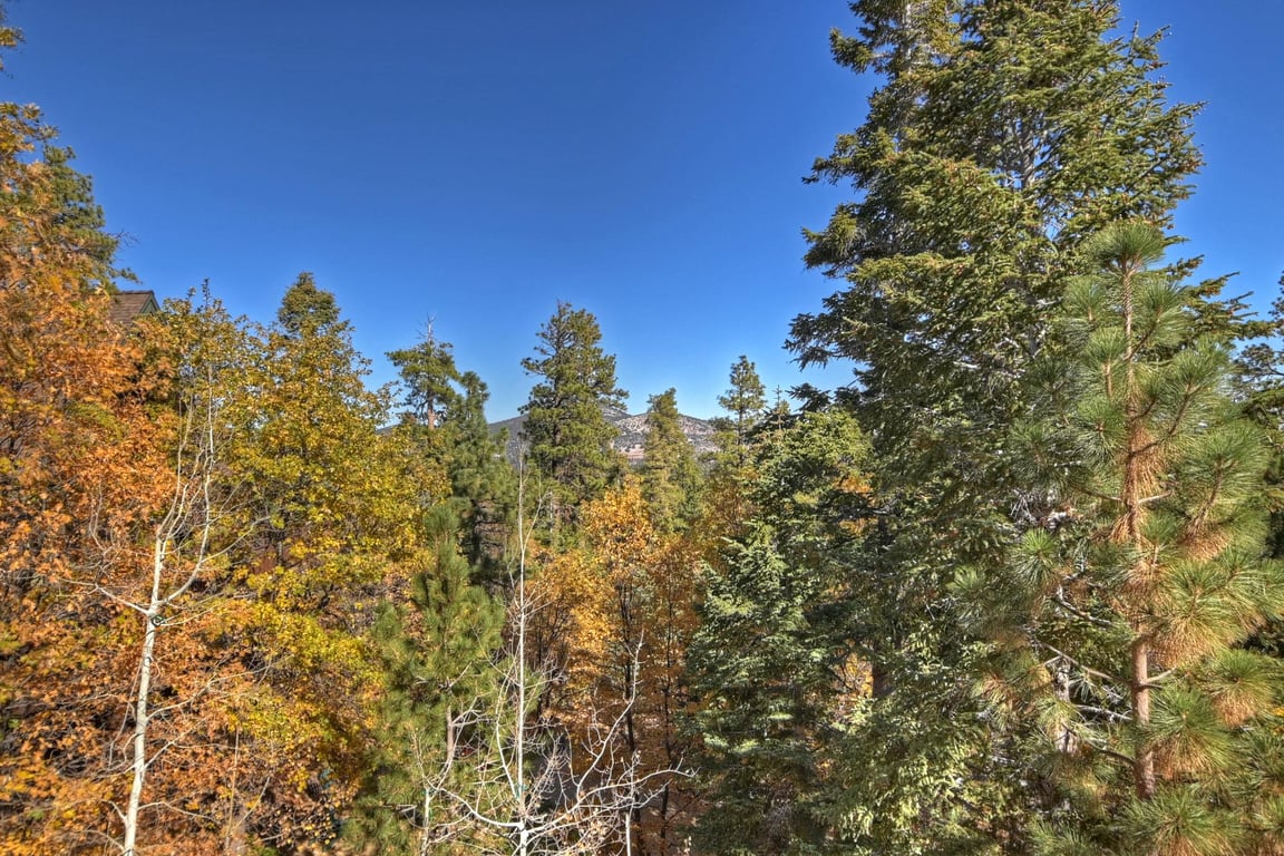 Cabin Image 33