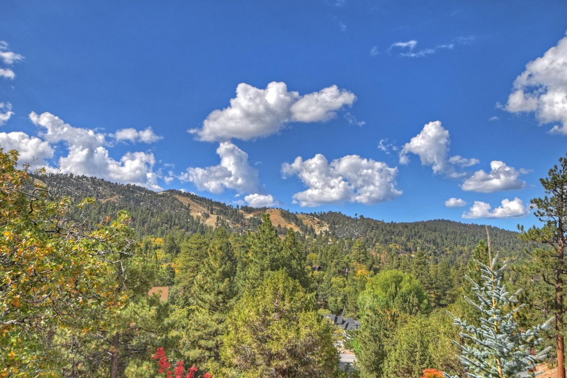 Cabin Image 26