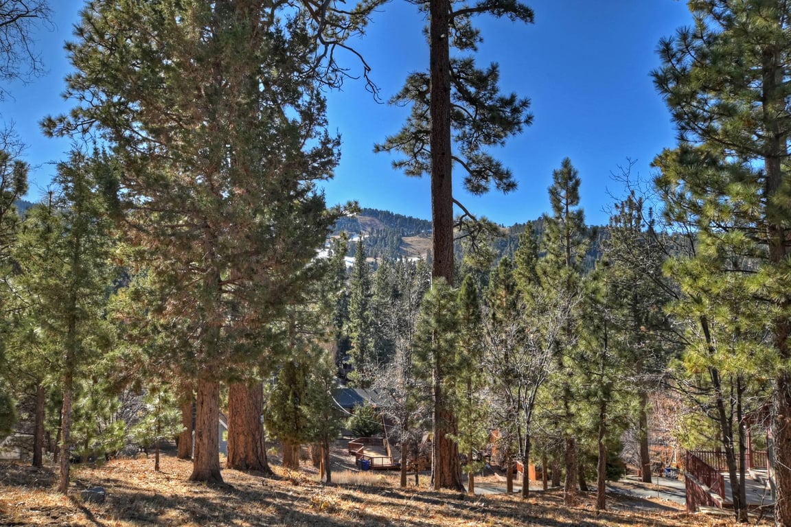 Cabin Image 26