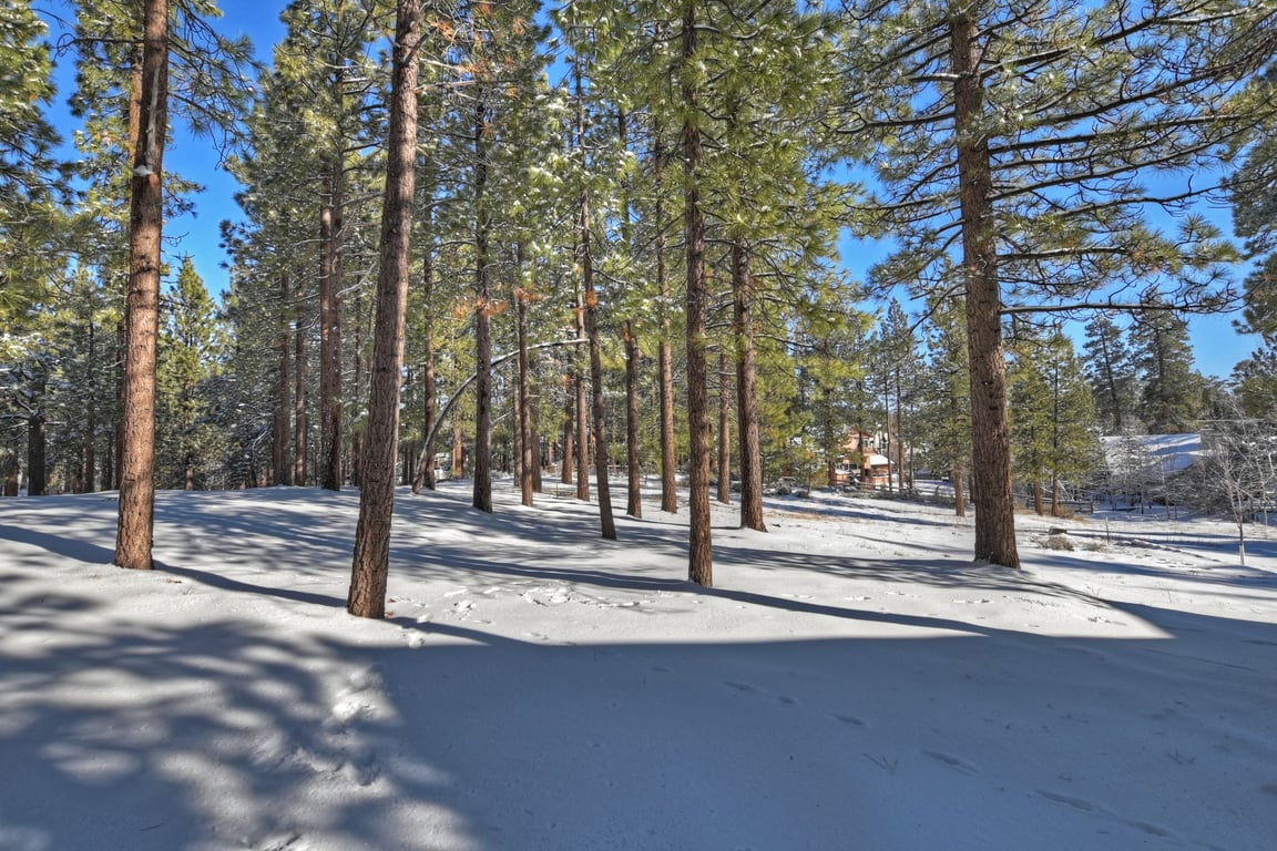 Cabin Image 35