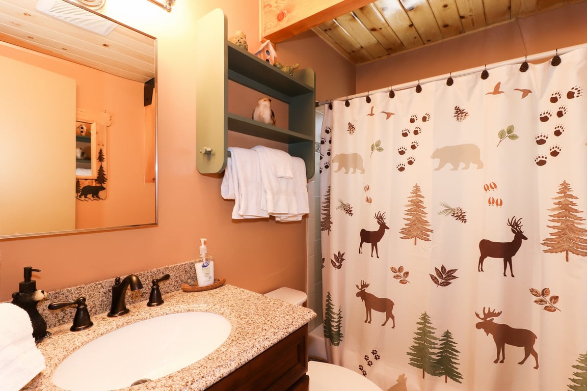 Cabin Image 9
