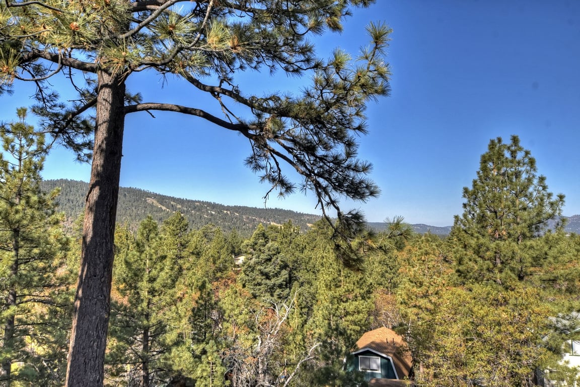 Cabin Image 30