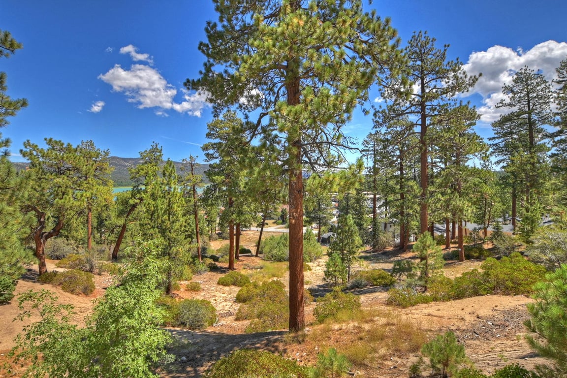 Cabin Image 79