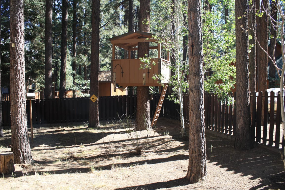 Cabin Image 40