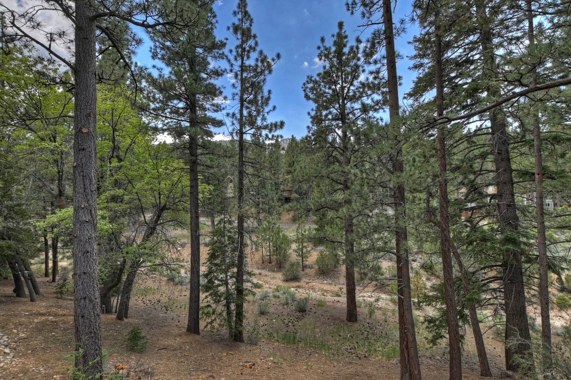 Cabin Image 4