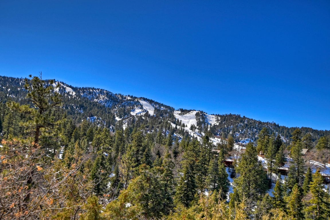 Cabin Image 9